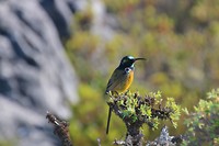 IMG_2862