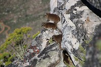 IMG_2865