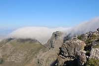 IMG_2867