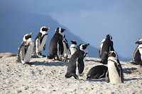 IMG_2895