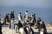 IMG_2903