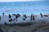 IMG_2907