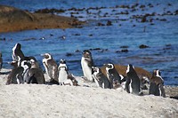 IMG_2913