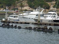 P1000236