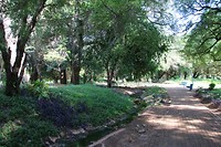 IMG_4847
