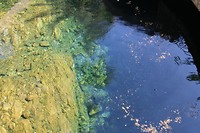 IMG_4849