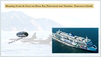 Pagina 15