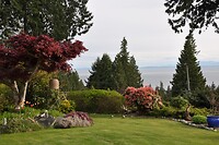 DSC_1239