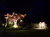 Tuin van de suite is aardig verlicht
