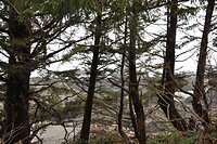 Pacific Rim Hwy