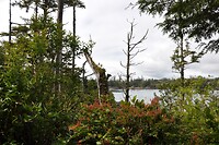 DSC_1356