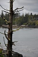 DSC_1357