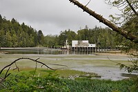 DSC_1370