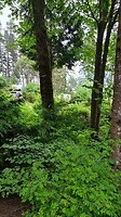 Ons plek voor twee nachten op Living Forest RV Park