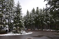 DSC_1535