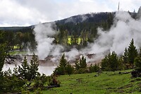 DSC_1546