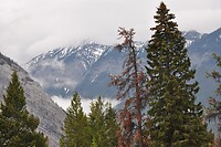 uitzicht van onze site Banff