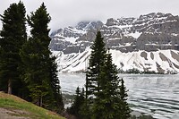 DSC_1675