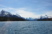 DSC_1685
