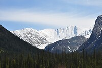 DSC_1688