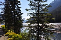 op weg naar Whistler