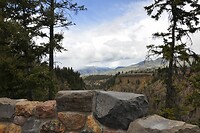 DSC_1963