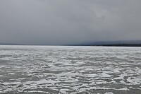 DSC_1964
