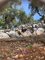 20231005_110957519_iOS