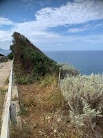 20240507_092219477_iOS