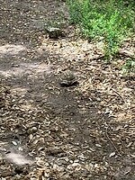 20240519_112652539_iOS