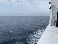 20240518_070634309_iOS