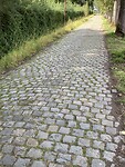 IMG_2216