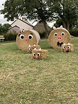 IMG_2222