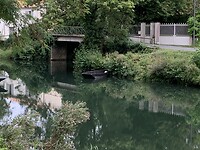 IMG_2230