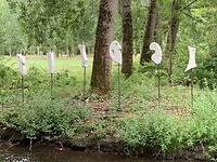 IMG_2240