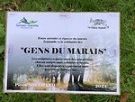 IMG_2241
