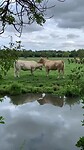 IMG_2248