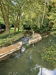 IMG_2253