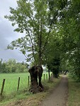 IMG_2249