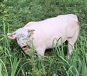 IMG_2270