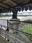 IMG_2286