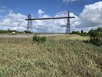 IMG_2293