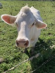 IMG_2338