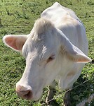IMG_2336