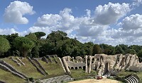 IMG_2321