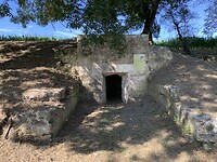 IMG_2346
