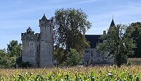 IMG_2347