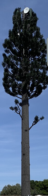 IMG_2350