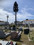 IMG_2351