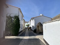 IMG_2352